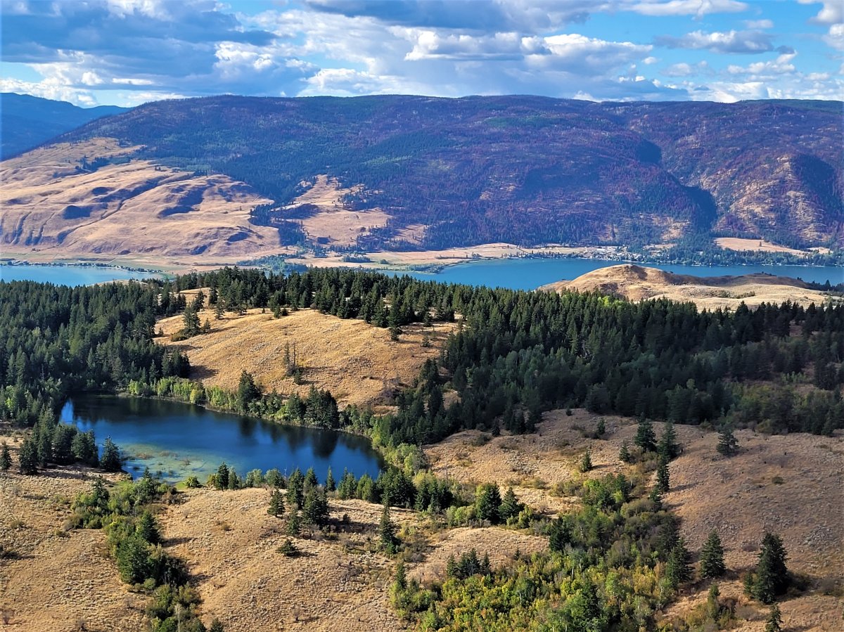 Okanagan Lake from Above.