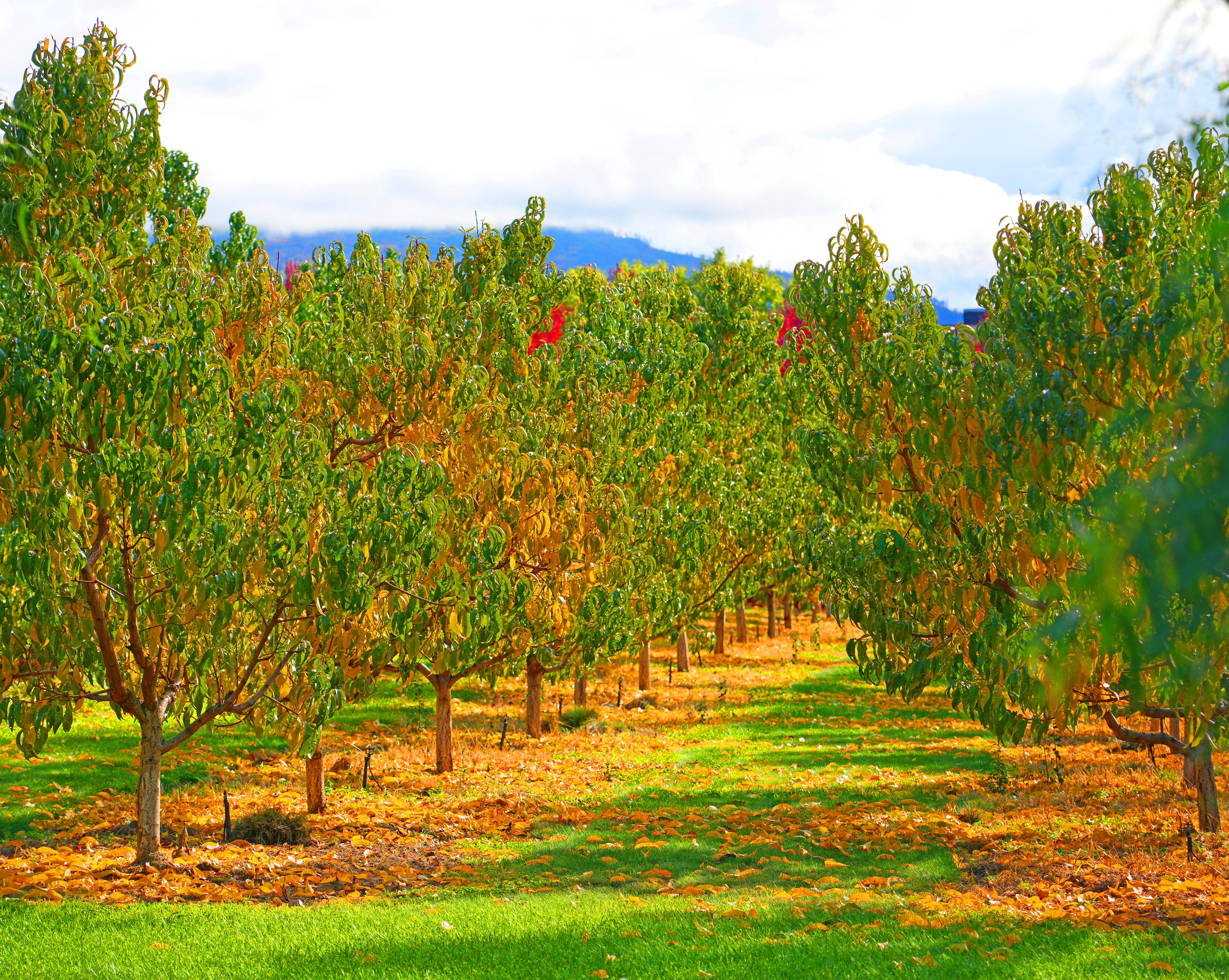 След опустошителна зима за пр н е фермери перспективите за мнозина присъстващи