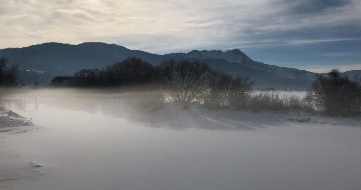 Freezing fog warning issued for the Shuswap - Okanagan | Globalnews.ca