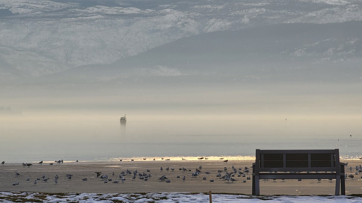 Fog and mist along Okanagan Lake in Vernon, B.C.