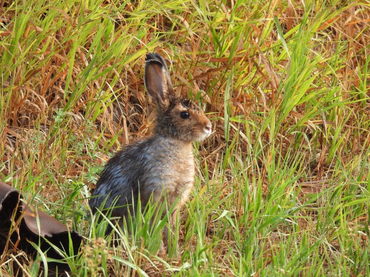 Global Okanagan Top Viewer Photo Gallery - Okanagan | Globalnews.ca