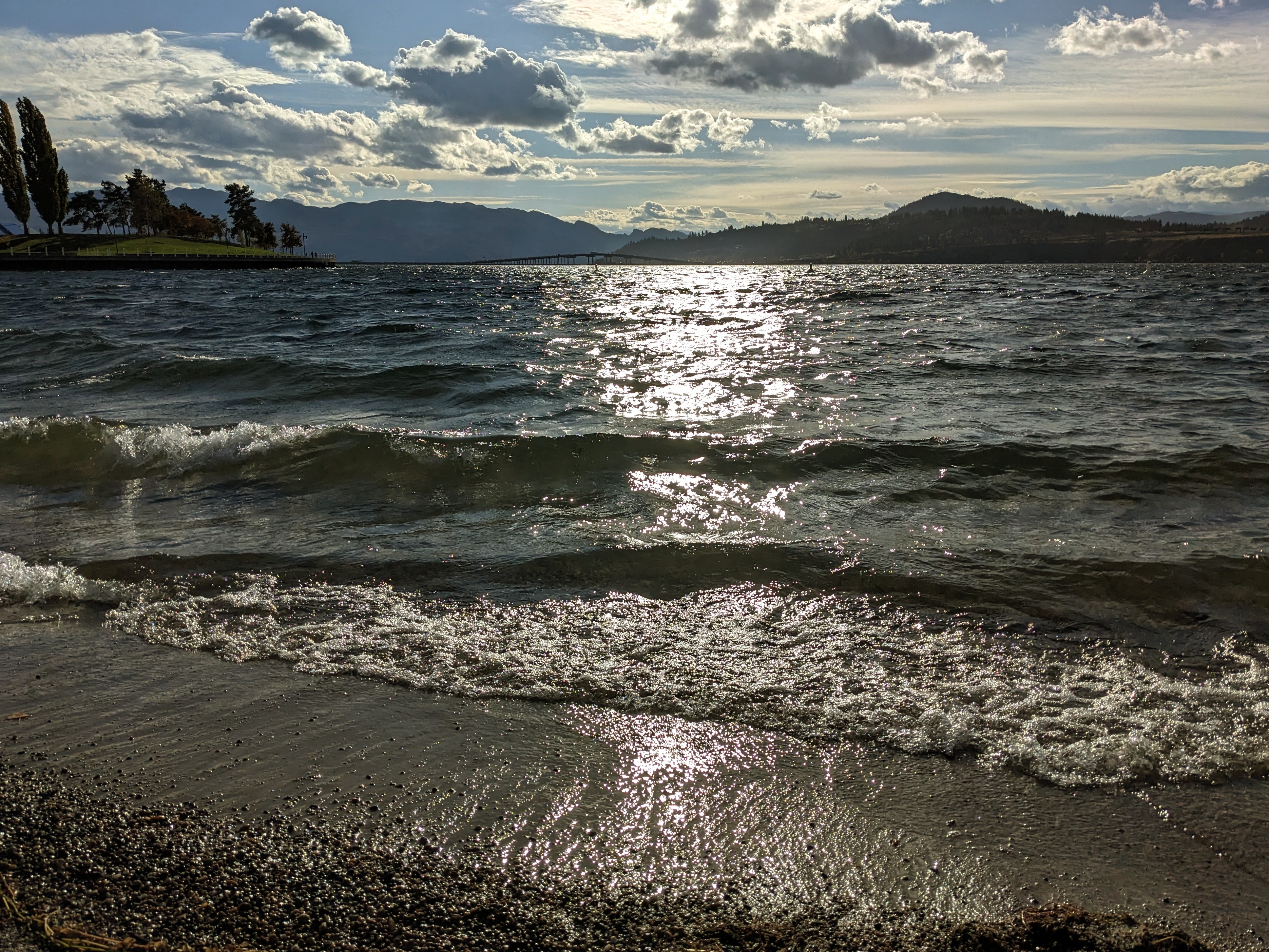 Тази година може да остане една от най зелените Коледи които