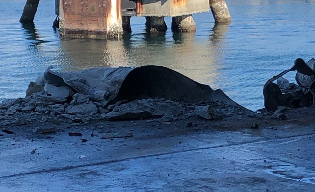 A vehicle ramp on the Spirit of Vancouver Island was damaged after the ferry hit the dock at the Tsawwassen terminal, leaving some passengers unable to disembark for hours.