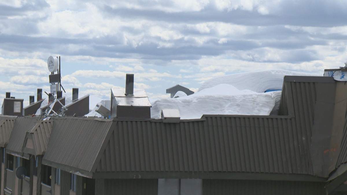 Steve Beskidny / Global News