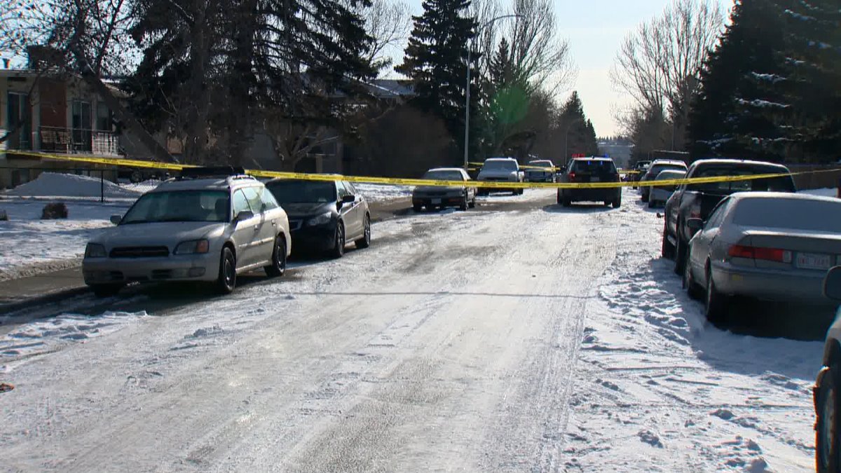 Calgary police are investigating a stabbing in Bowness. 