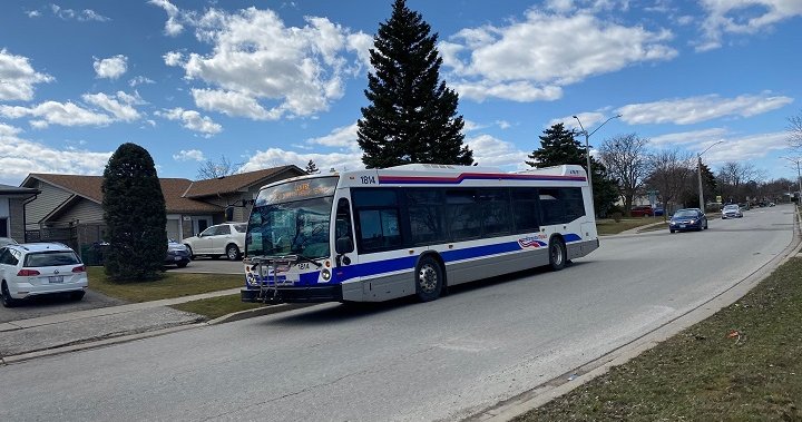 Brampton Transit to temporarily cut routes, reduce service amid COVID – Toronto