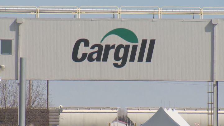 Nearly 1,000 Cargill workers in Guelph, Ont. on strike - Vimarsana News
