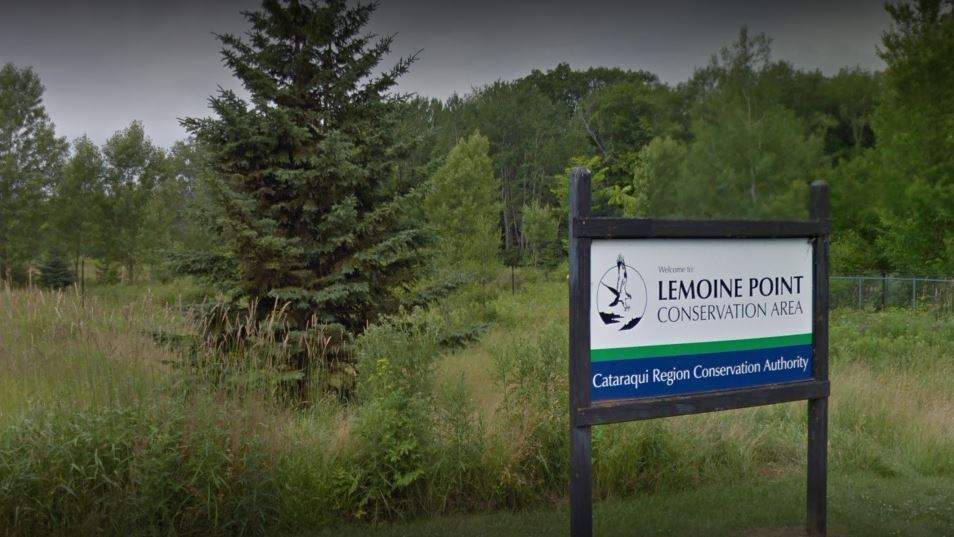 All Cataraqui Region Conservation Authority trails will be closed starting April 8 due to the novel coronavirus pandemic.