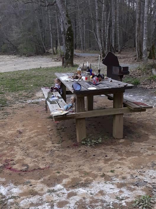 A picnic table full of stabbed dolls and dead birds are under investigation in Virginia after a local man made the discovery on April 17.