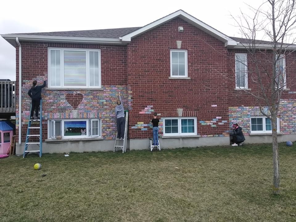 Casey Mark/Global News