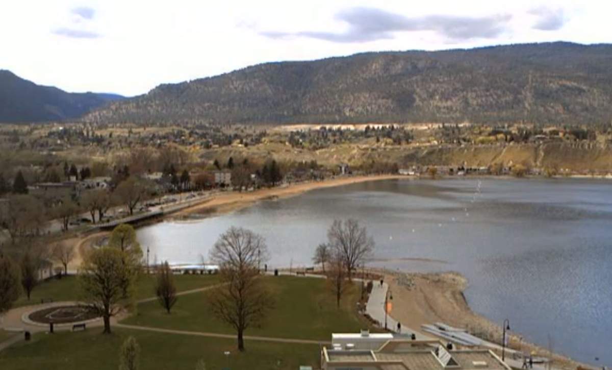 The city will allow residents to curbside yard waste at an ‘unlimited’ amount.
