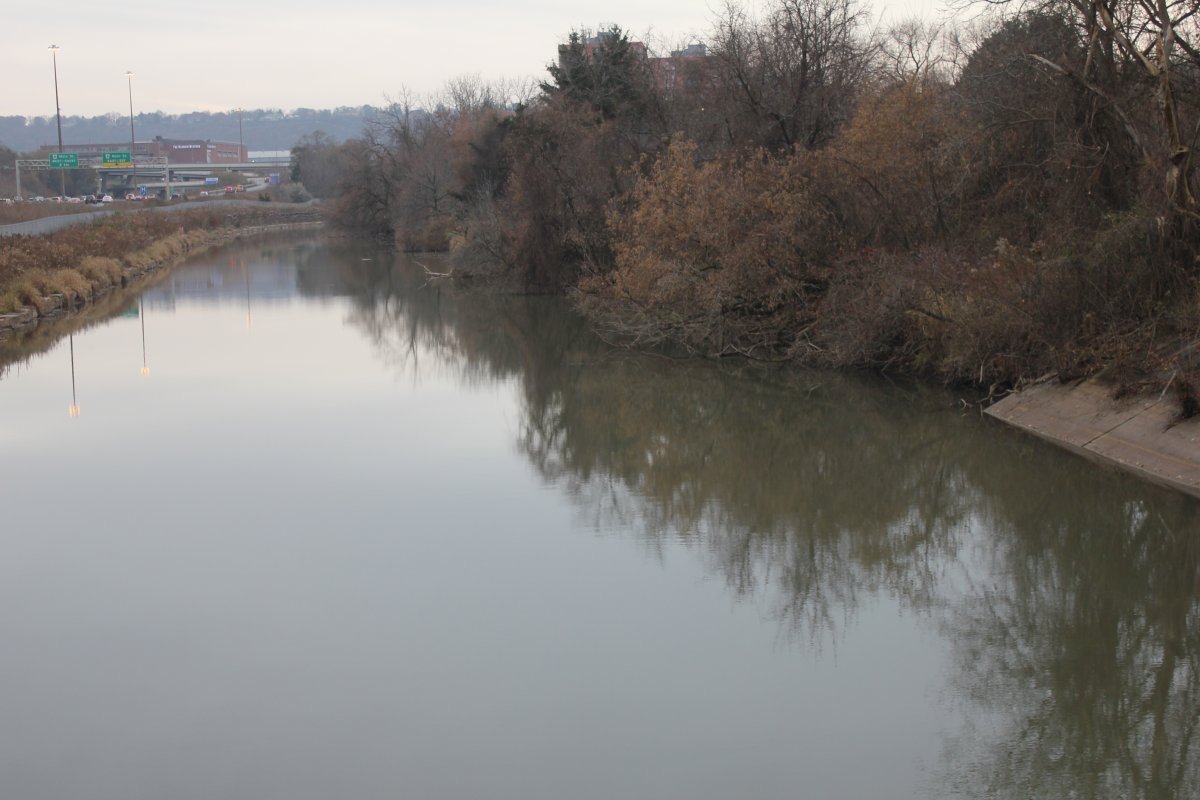 The city of Hamilton will be sending an early response to the province tied to the 24 billion litre spill of untreated wastewater into Cootes Paradise between 2014 and 2018.