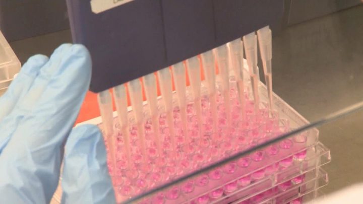 35 COVID-19 cases on First Nations: Indigenous Services Canada