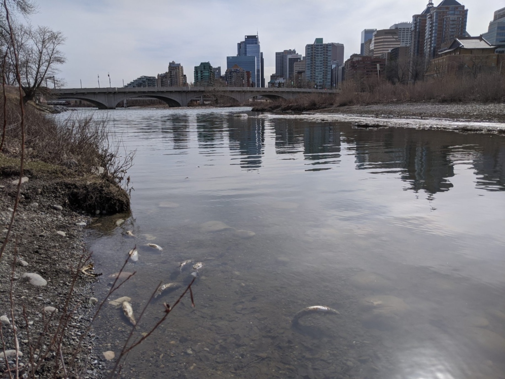Four fishermen are missing They were last seen on June 25, 2021, when they left for a camp located at Notigi, Manitoba.