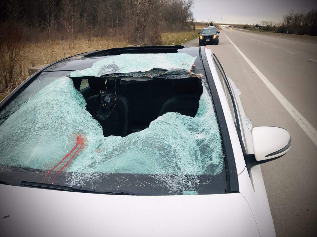 OPP say two people were taken to hospital after their vehicle struck a deer on Hwy. 401 near Belleville on Friday morning.