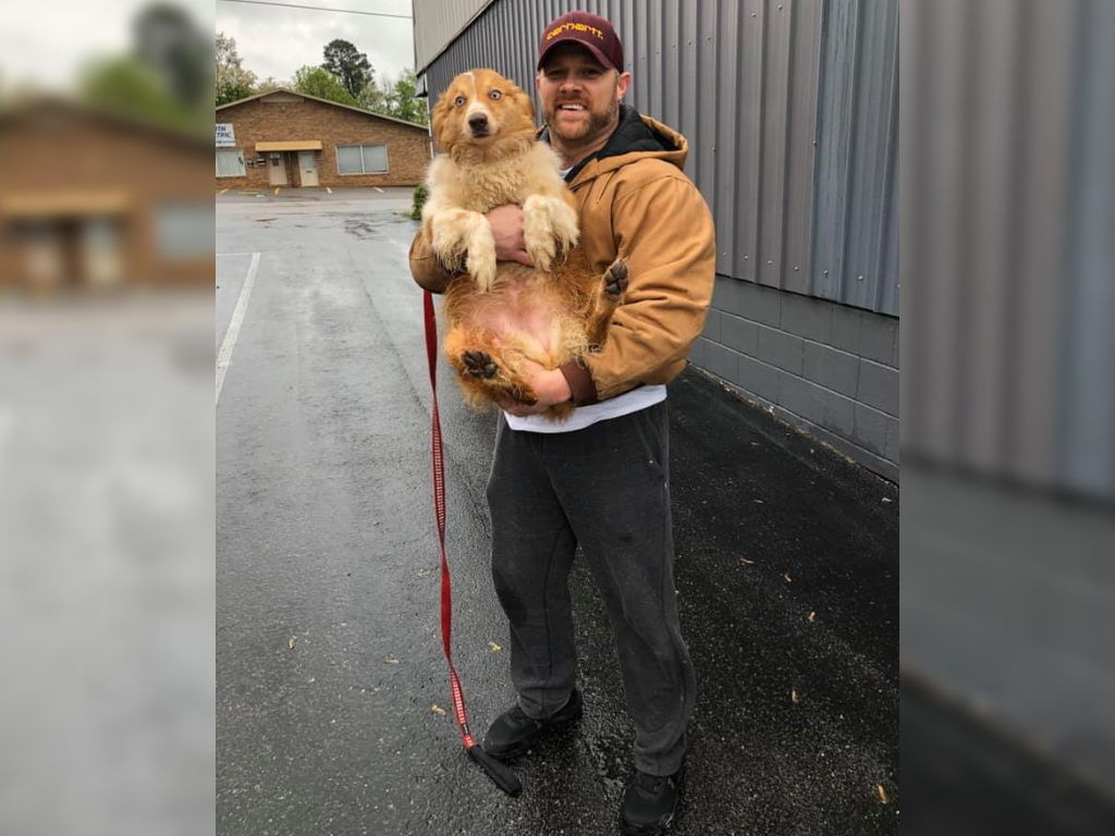 A Mississippi family was reunited with their dog 54 days after it got lost following tornadoes.