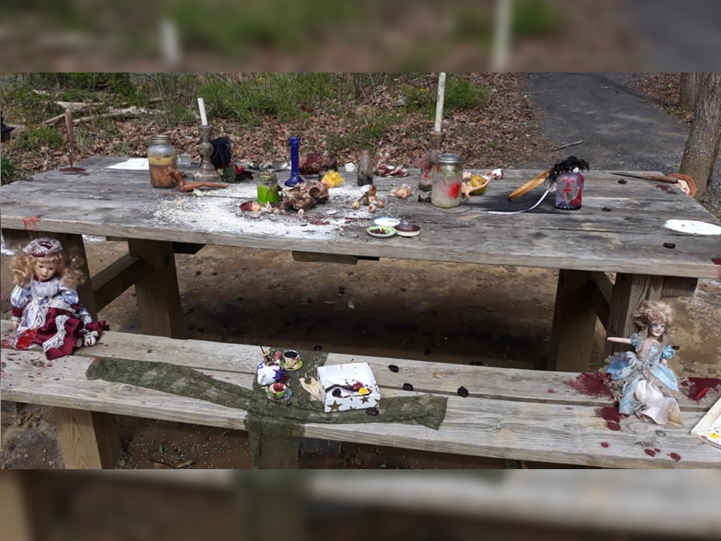 A picnic table full of stabbed dolls and dead birds are under investigation in Virginia after a local man made the discovery on April 17.