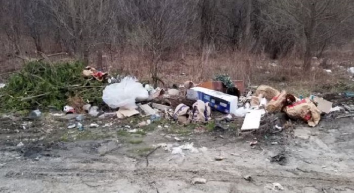 Rouge National Urban Park has been littered with illegal garbage dumping over the past few weeks.
