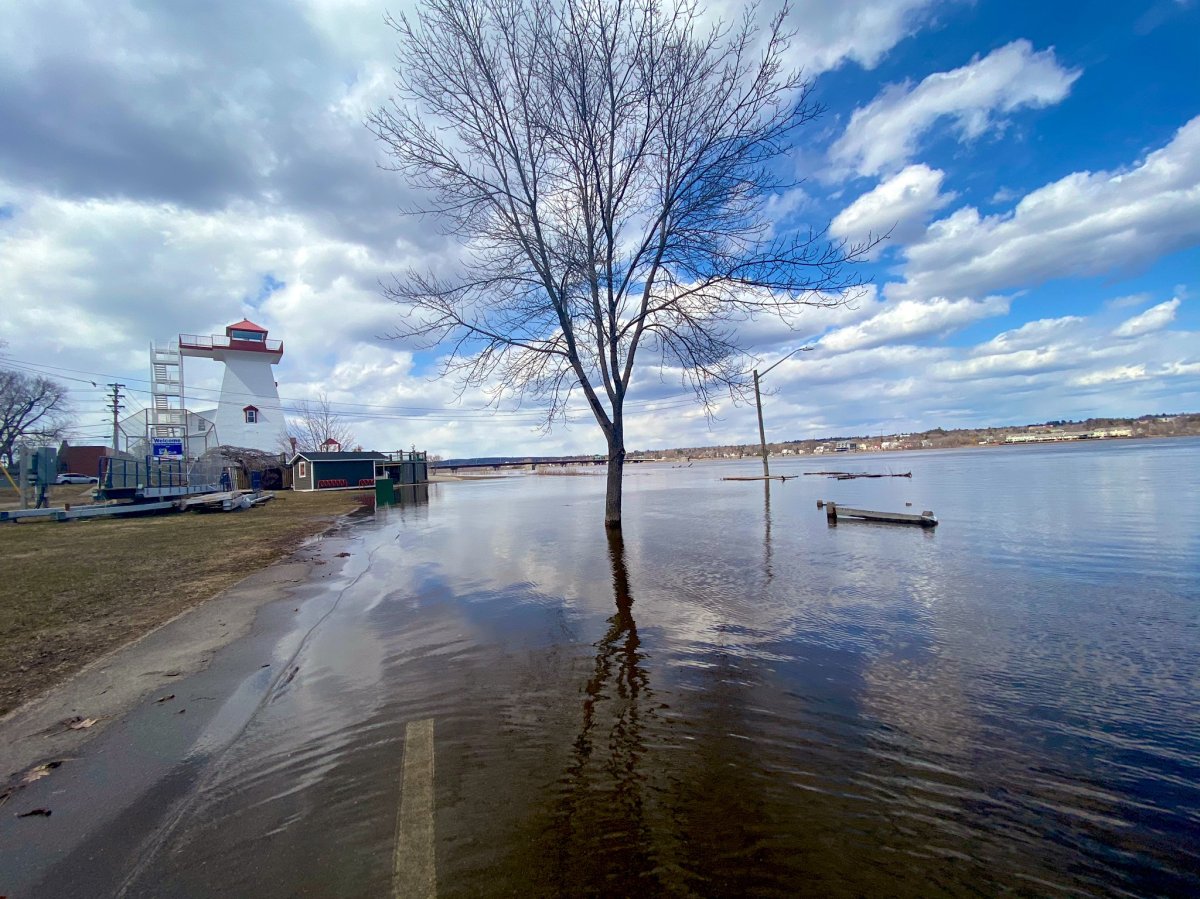 Minor flooding in Fredericton along the St. John River on April 15, 2020. 