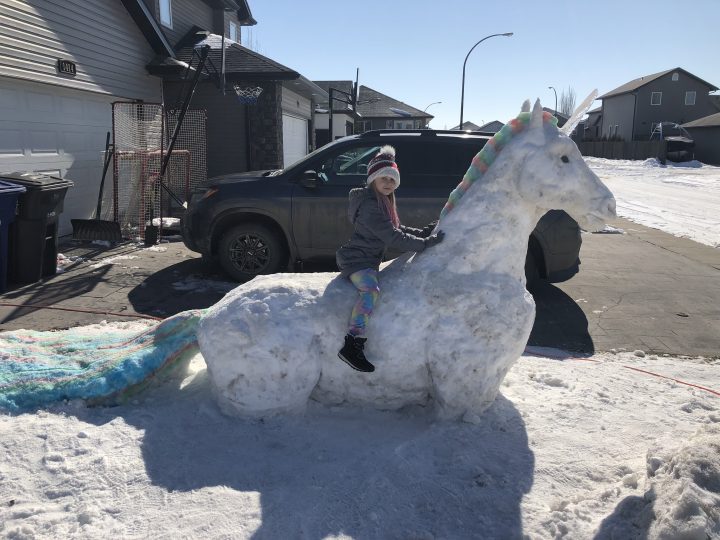 Nathan Ellis said the snow sculptures are really about having fun with his kids.