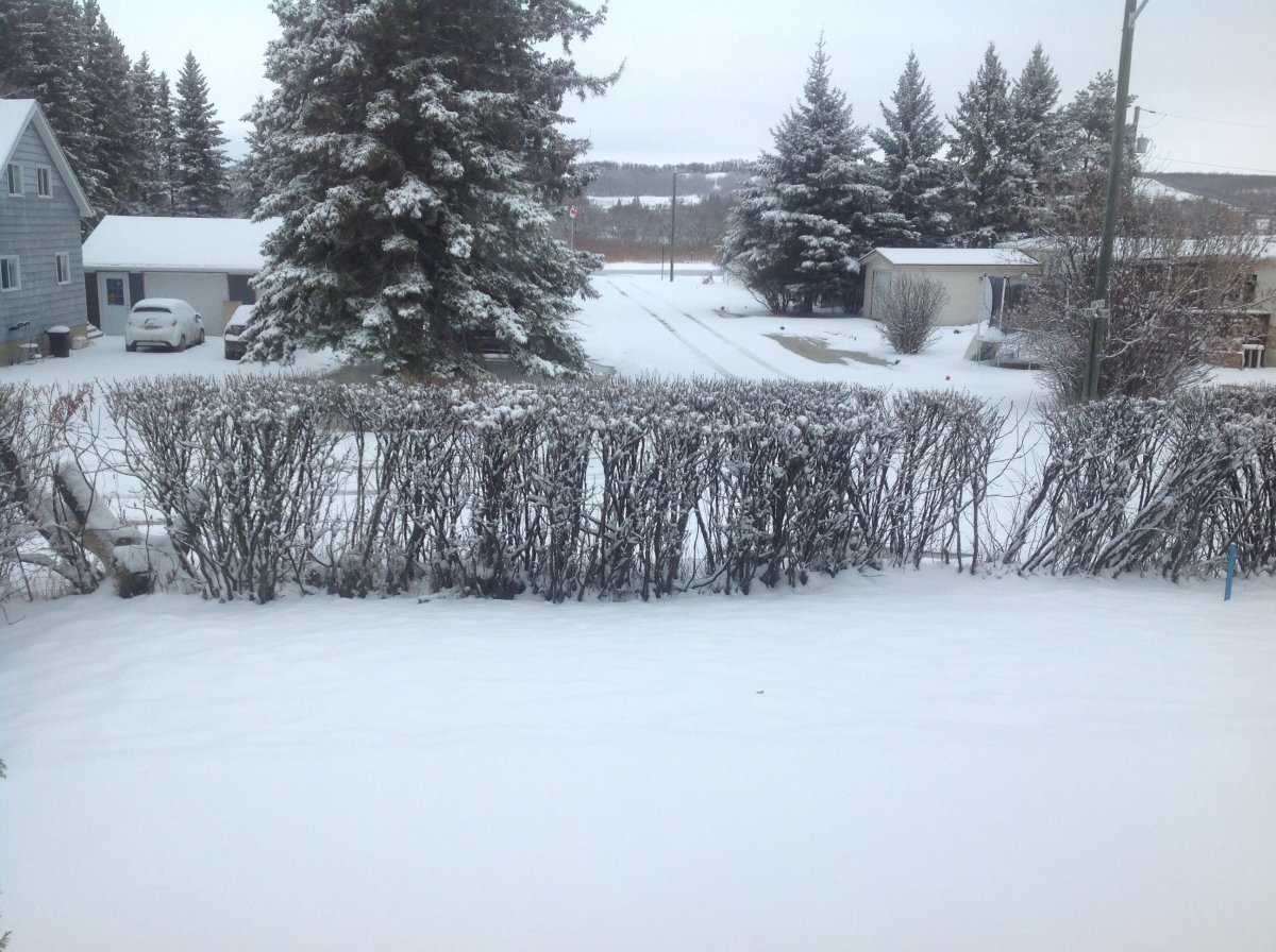 Snowfall warnings have been issued by Environment and Climate Change Canada for throughout southwestern Manitoba, including Minnedosa, which was looking wintry Wednesday morning.