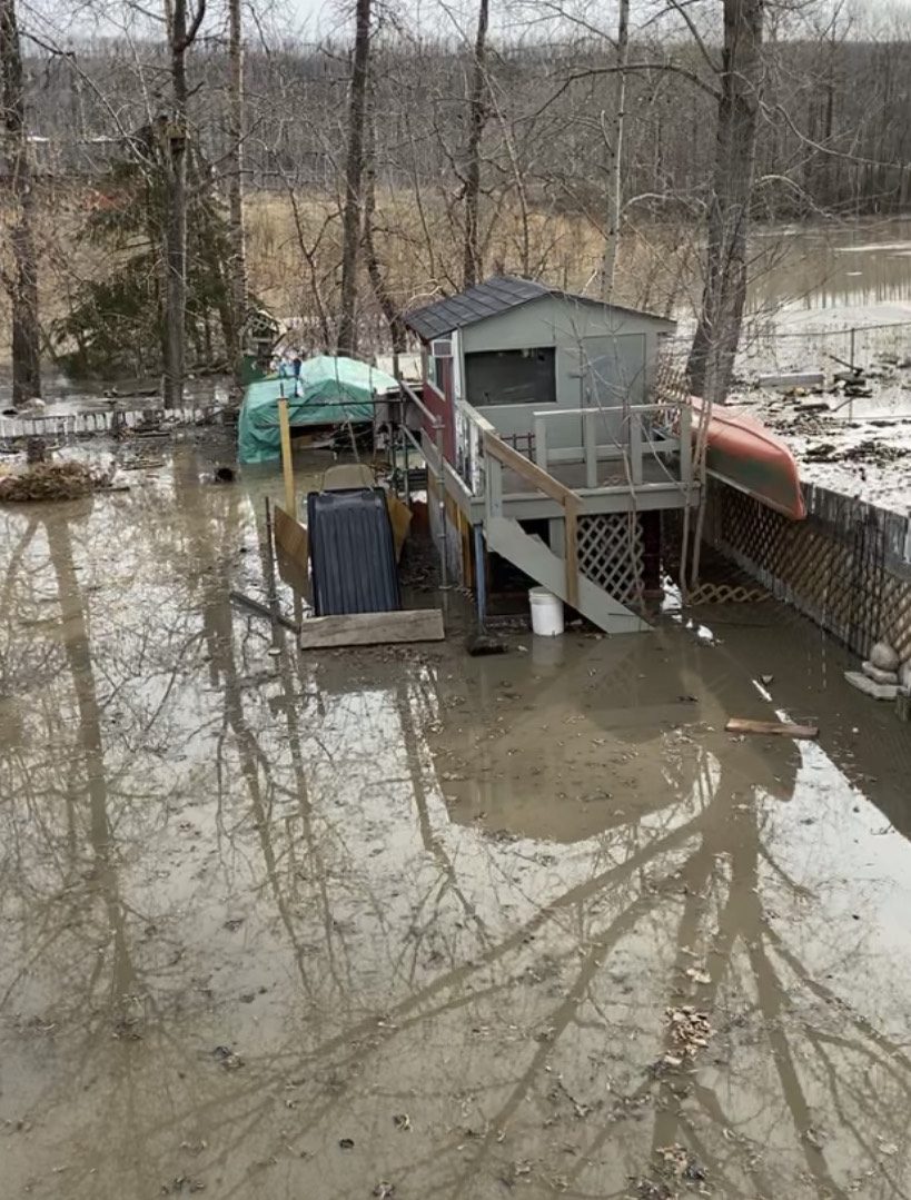 A shot of the treehouse in Hannah Walowskis backyard before the water rose.