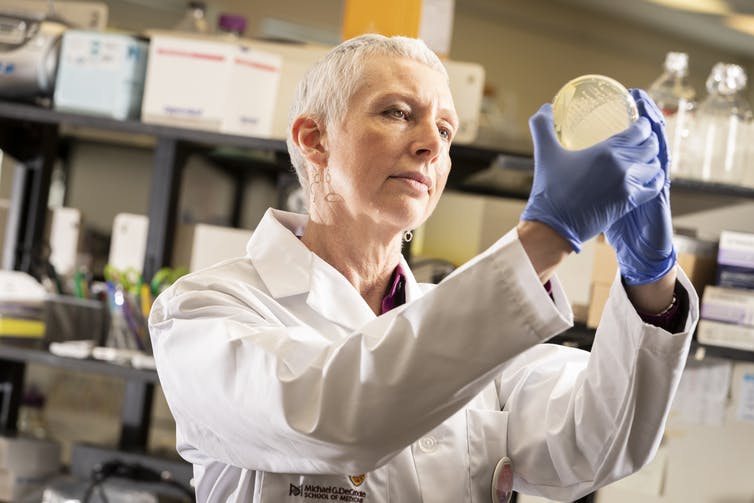 Lori Burrows
professor of biocchemistry and biomedical Sciences, McMaster University.