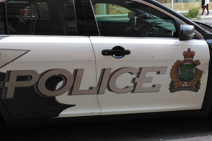 Teens charged with possessing gun that put Port Colborne schools into lockdown: police
