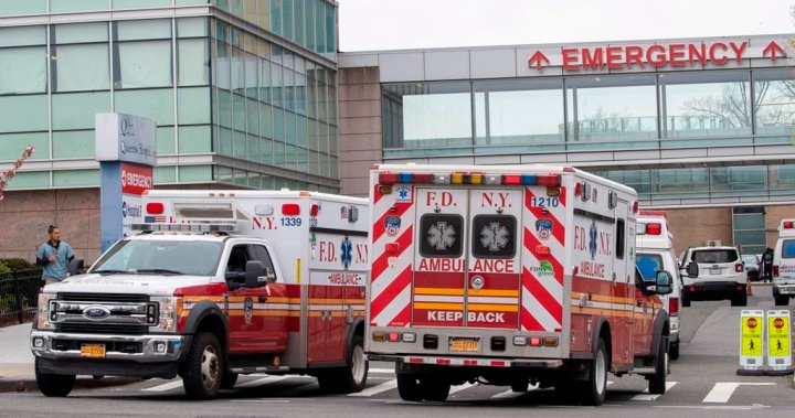 57 heridos después de que un autobús turístico con destino a las Cataratas del Niágara se estrellara en el Throwway de Nueva York – National