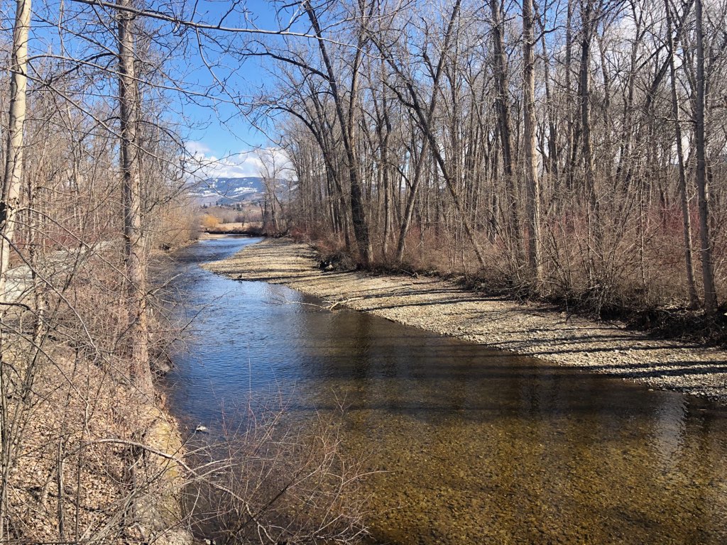 Municipal and regional parks in the Okanagan remain open heading into the long weekend despite provincial park closures.