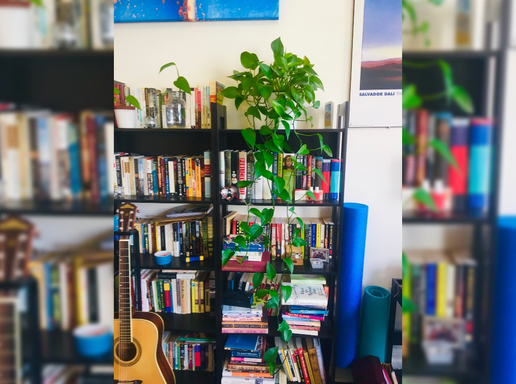 Gardening can help you get through coronavirus isolation — here’s how to start - image