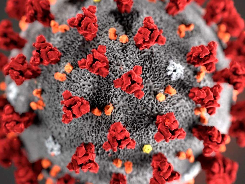 In this illustration provided by the Centers for Disease Control and Prevention (CDC) in January 2020 shows the 2019 Novel Coronavirus (2019-nCoV).