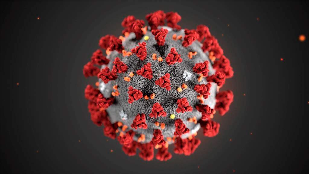 In this illustration provided by the Centers for Disease Control and Prevention (CDC) in January 2020 shows the 2019 Novel Coronavirus (2019-nCoV). This virus was identified as the cause of an outbreak of respiratory illness first detected in Wuhan, China.