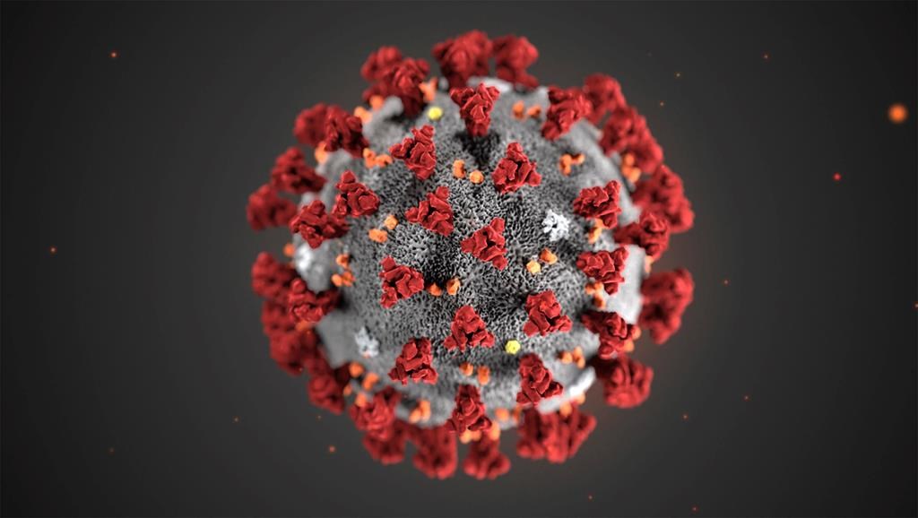 In this illustration provided by the Centers for Disease Control and Prevention (CDC) in January 2020 shows the 2019 Novel Coronavirus (2019-nCoV). This virus was identified as the cause of an outbreak of respiratory illness first detected in Wuhan, China.