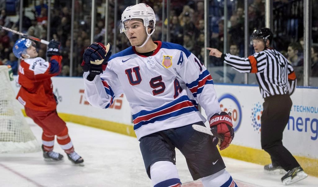 The United States’ Dylan Samberg (4) celebrates his goal past Czech Republic goalie Lukas Dostal, not shown, during second period IIHF world junior quarter-final hockey action in Victoria, Wednesday, Jan. 2, 2019.