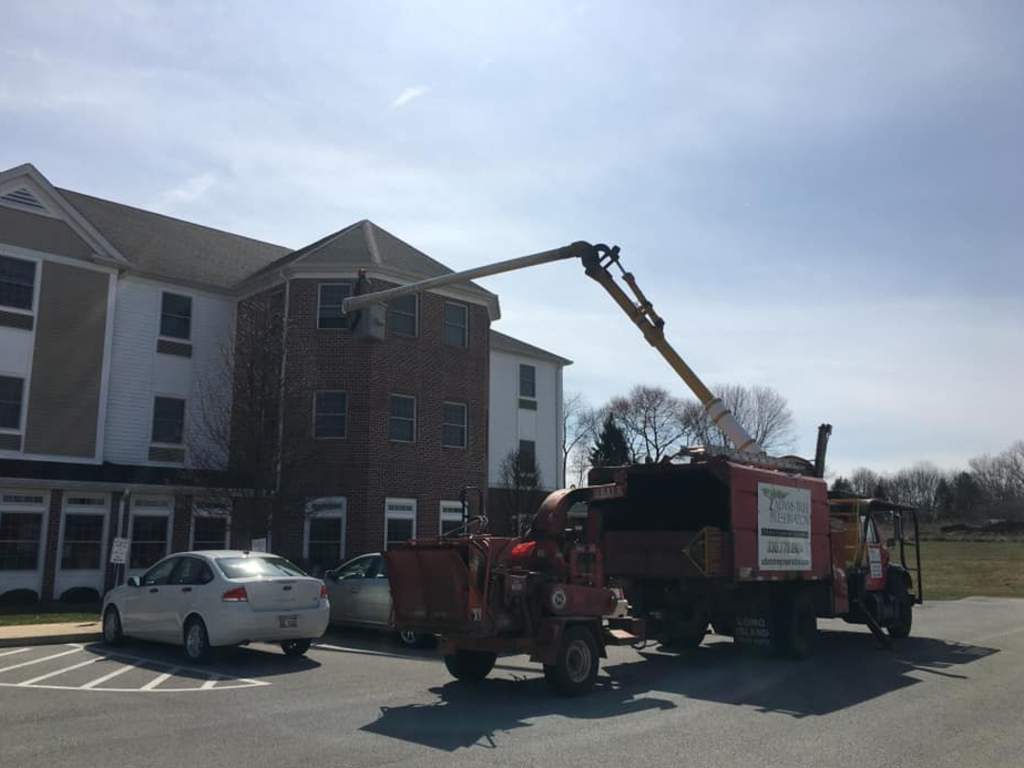 Ohio arborist Charley Adams used his bucket truck to visit his 81-year-old mom in her third-storey room at her assisted living home.