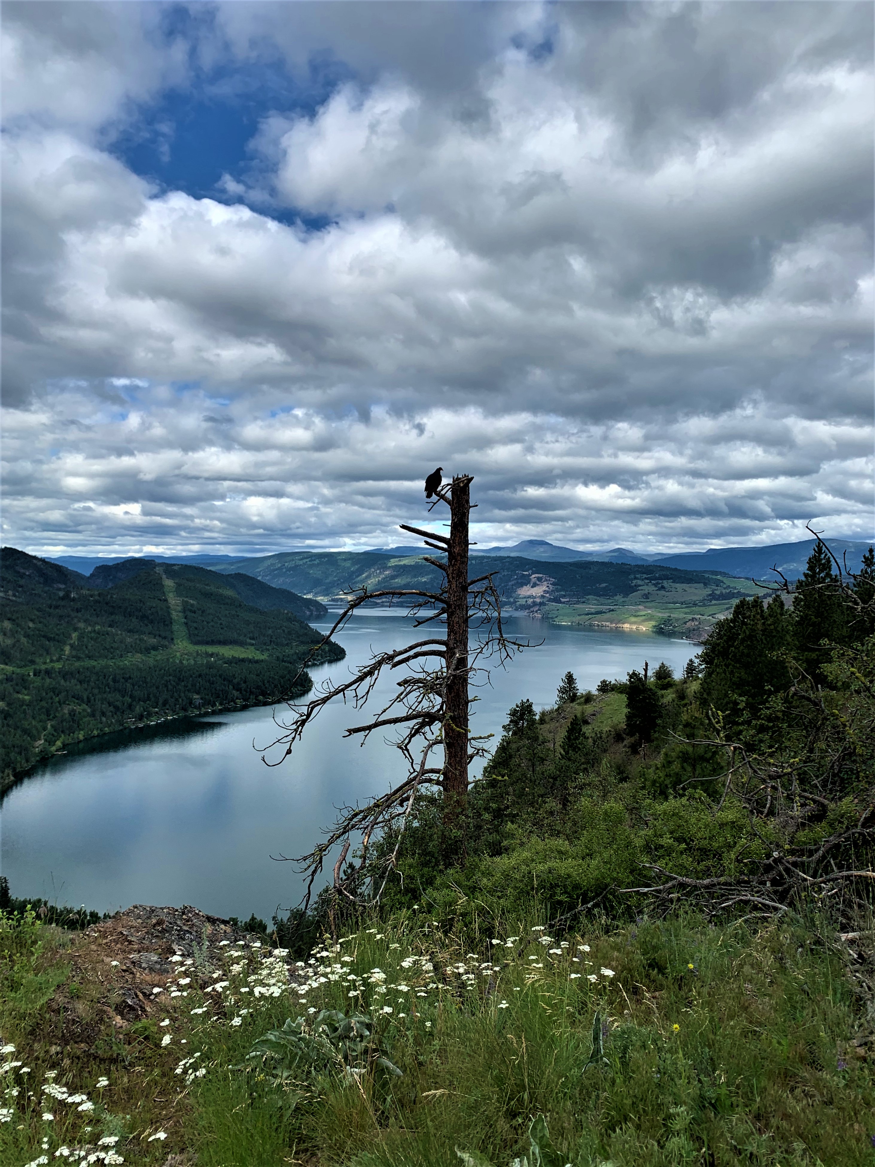 Пожарни екипи бяха изпратени в района на Cosens Bay два