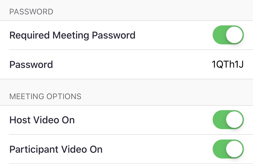 Screenshot of a Zoom meeting set up