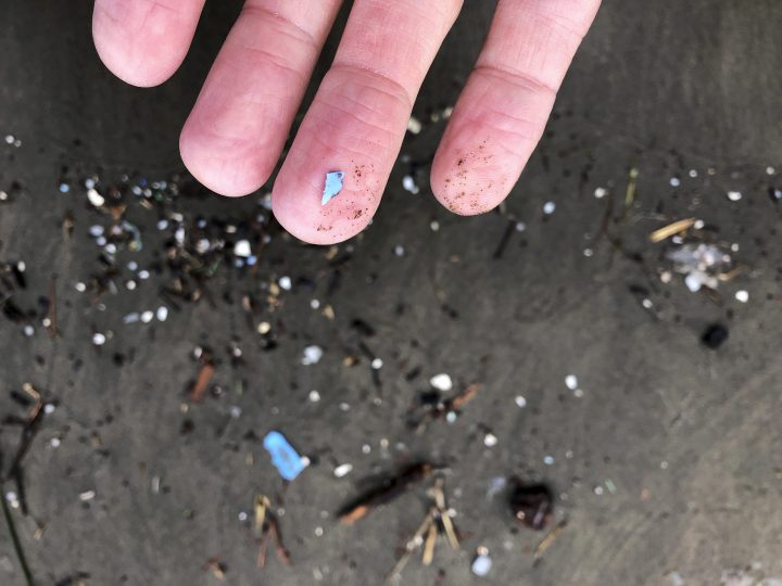 This Jan. 19, 2020, photo shows microplastic debris that has washed up at Depoe Bay, Ore. 