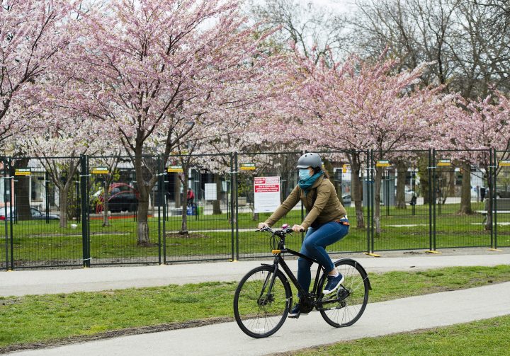 A person rides her bicycle past fenced off cherry blossoms at a park during the COVID-19 pandemic in Toronto, Friday, May 1, 2020.