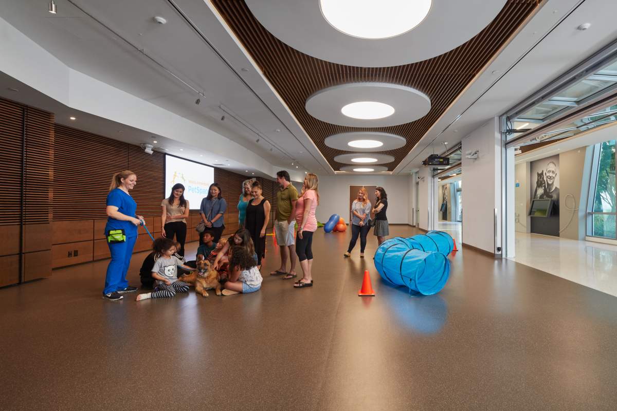 The Regina Animal Community Centre will have an education space similar to the one featured in the photo above which is from a similar facility designed that was designed by Swatt/Miers. 