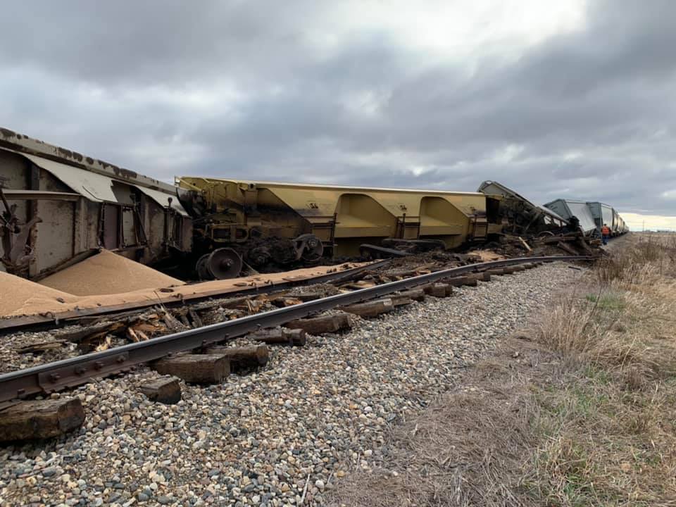 Train derails south of Brandon, Man. - image