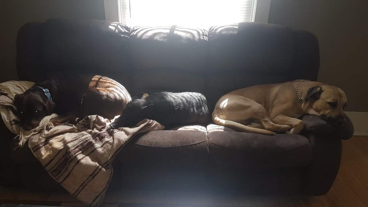 Beans hanging out with his friends Brooks and Abby.