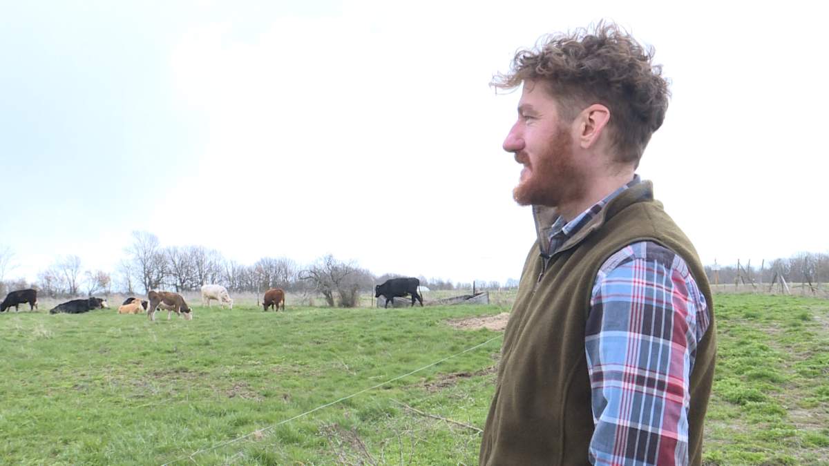 Beef farmer Tim Dowling watches over his herd at Doublejay Farms