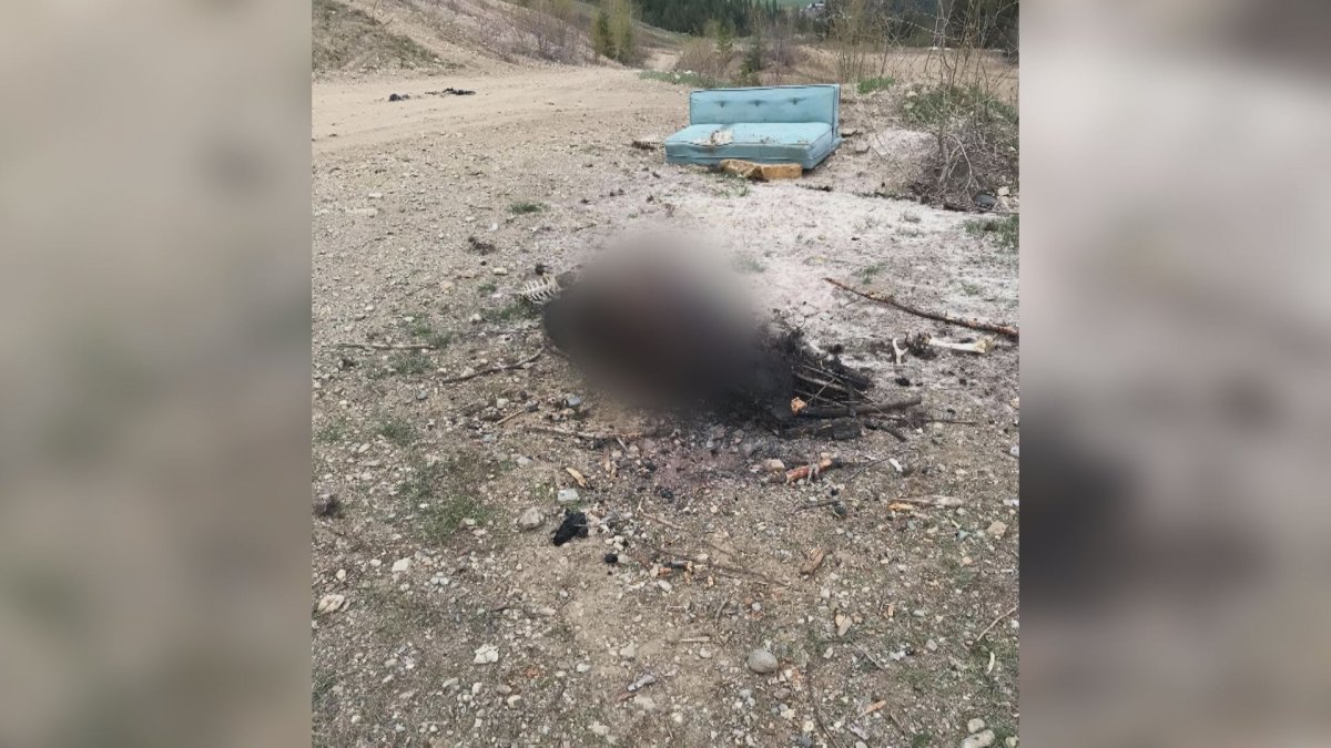 Passerbys made the grisly discovery in the South Shuswap last month. 