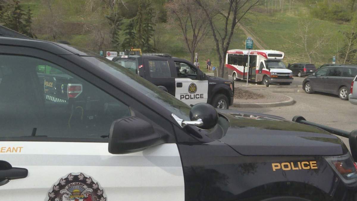 A Calgary Transit bus was stolen on Monday, May 18, 2020, according to police.