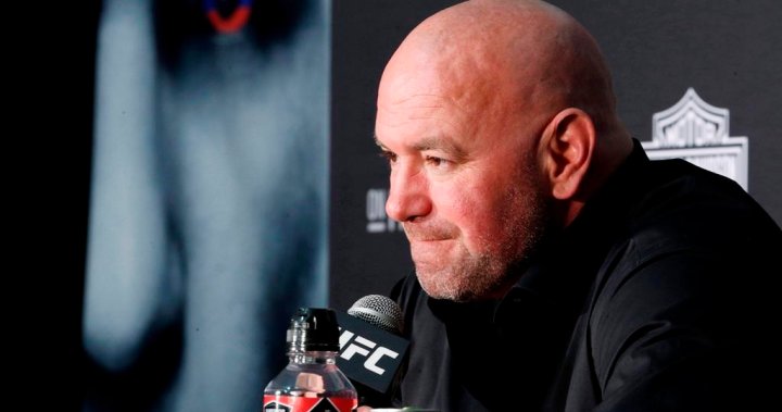 Les combattants de l’UFC crient au scandale après que le patron Dana White ait offert un cadeau d’anniversaire de 250 000 $ à YouTuber – National