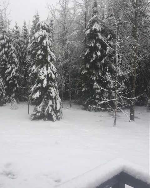 A shot taken Monday, May 4, 2020, near Edson, Alta. Courtesy / Tania Welch-Fawcett