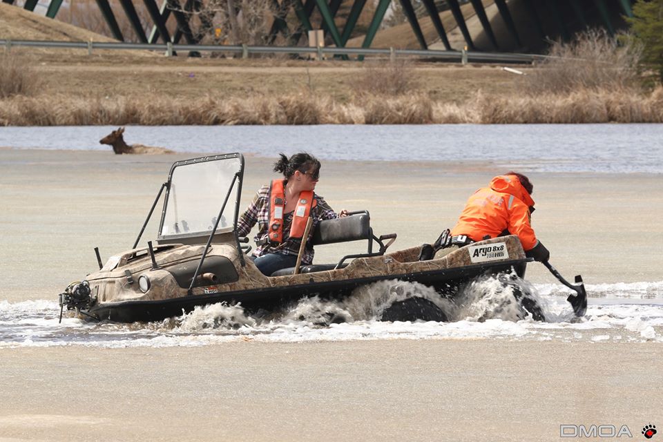 Alberta Fish and Wildlife Officers work to free two elk trapped in ice.