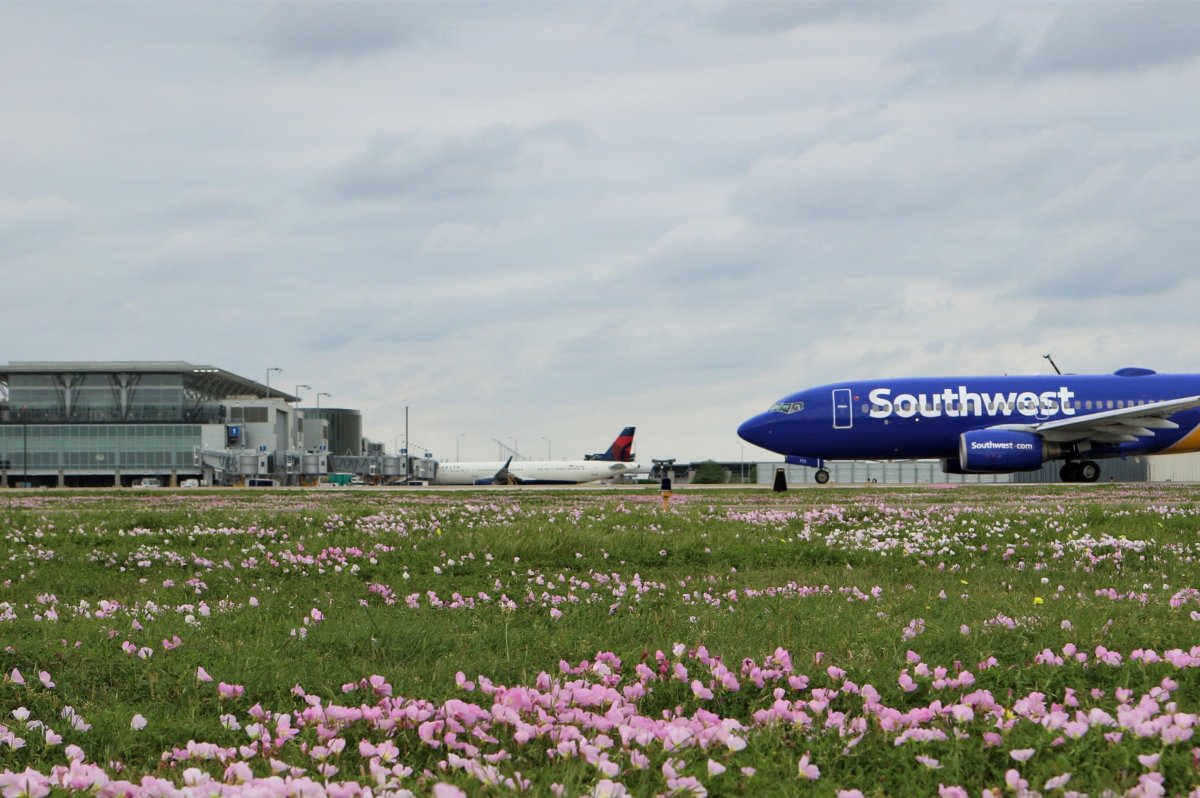 A Southwest Airlines aircraft lands at Austin-Bergstrom International Airport in Austin, Tex., in an undated file photo.